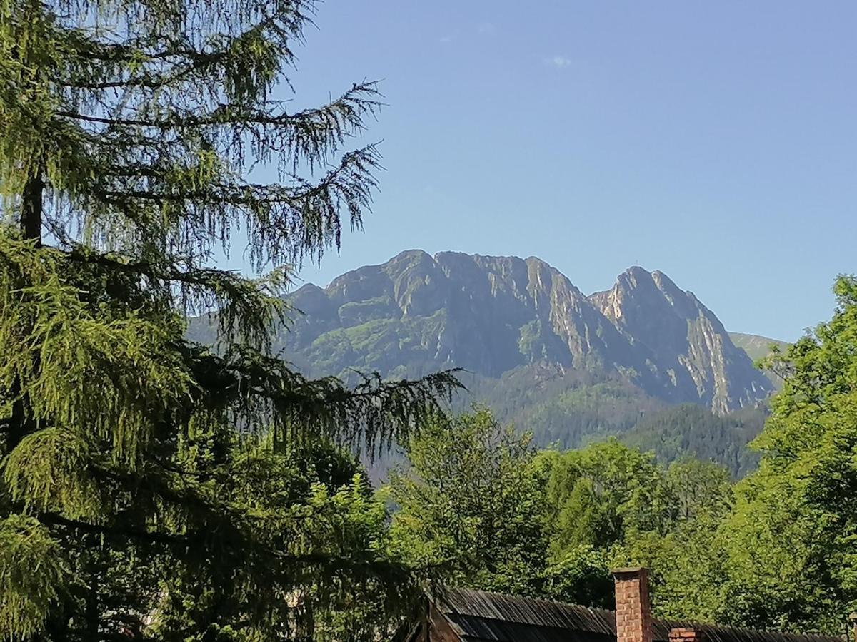 Tatrzanski Azyl W Centrum Zakopanego * Zakopane